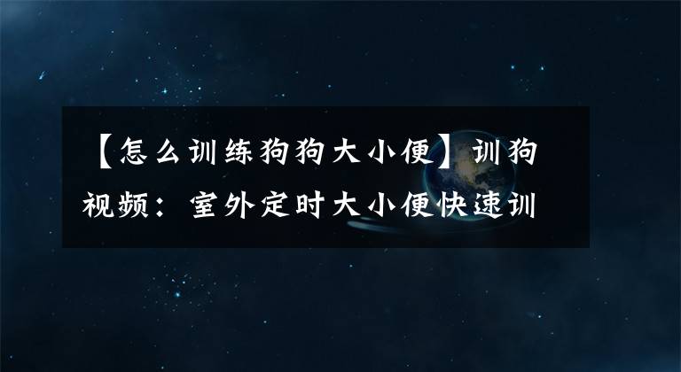 【怎么训练狗狗大小便】训狗视频：室外定时大小便快速训练的方法