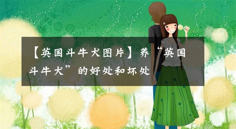 【英国斗牛犬图片】养“英国斗牛犬”的好处和坏处