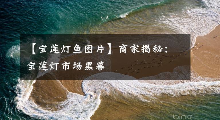 【宝莲灯鱼图片】商家揭秘：宝莲灯市场黑幕