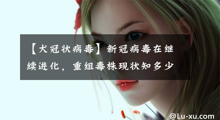 【犬冠状病毒】新冠病毒在继续进化，重组毒株现状知多少？