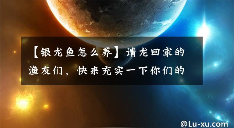 【银龙鱼怎么养】请龙回家的渔友们，快来充实一下你们的知识面，龙鱼的养殖篇