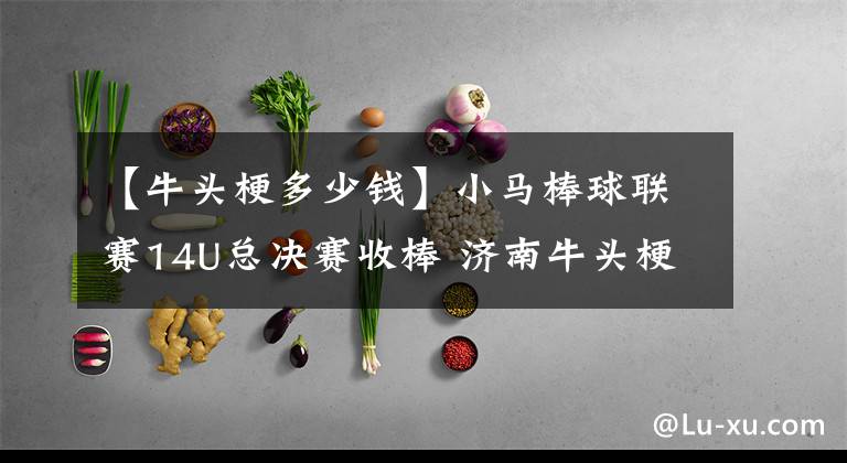 【牛头梗多少钱】小马棒球联赛14U总决赛收棒 济南牛头梗收获亚锦赛“门票”