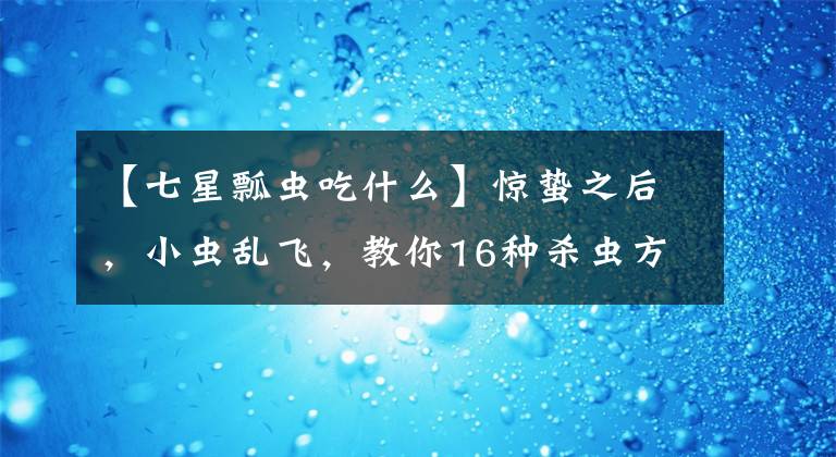 【七星瓢虫吃什么】惊蛰之后，小虫乱飞，教你16种杀虫方法