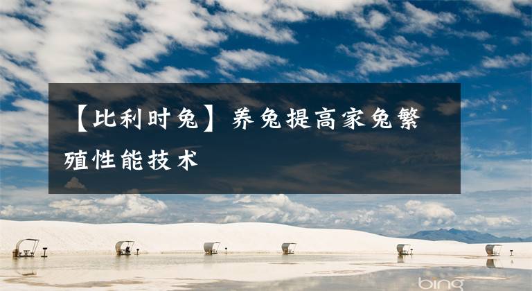 【比利时兔】养兔提高家兔繁殖性能技术