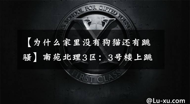 【为什么家里没有狗猫还有跳骚】南苑北理3区：3号楼上跳蚤疑惑与流浪猫有关