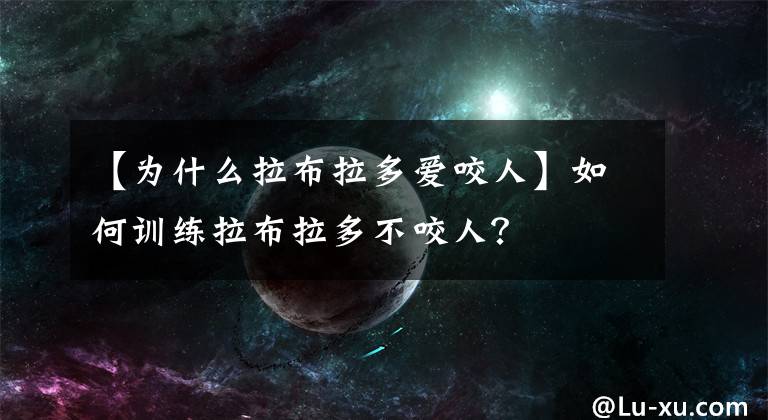 【为什么拉布拉多爱咬人】如何训练拉布拉多不咬人？