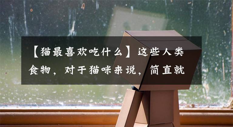 【猫最喜欢吃什么】这些人类食物，对于猫咪来说，简直就是“人间美味”