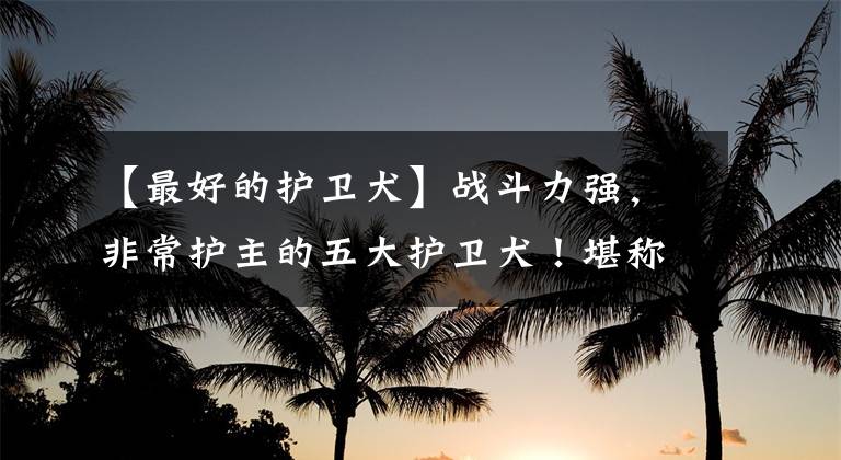 【最好的护卫犬】战斗力强，非常护主的五大护卫犬！堪称狗界“五虎上将”