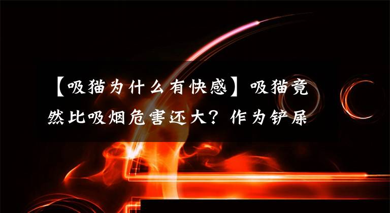 【吸猫为什么有快感】吸猫竟然比吸烟危害还大？作为铲屎官的你必须知道的这些事