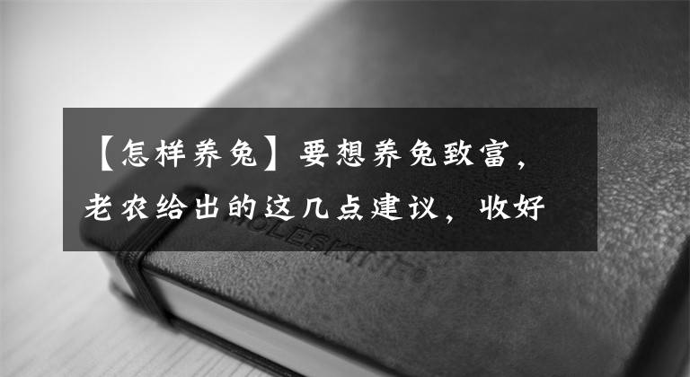 【怎样养兔】要想养兔致富，老农给出的这几点建议，收好了