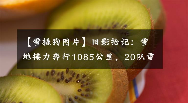 【雪橇狗图片】旧影拾记：雪地接力奔行1085公里，20队雪橇犬拯救美国小镇