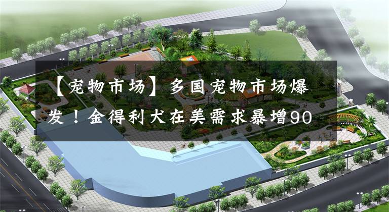 【宠物市场】多国宠物市场爆发！金得利犬在美需求暴增900%