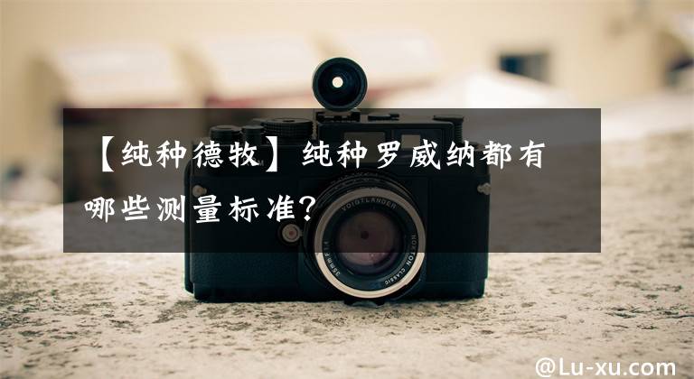 【纯种德牧】纯种罗威纳都有哪些测量标准？