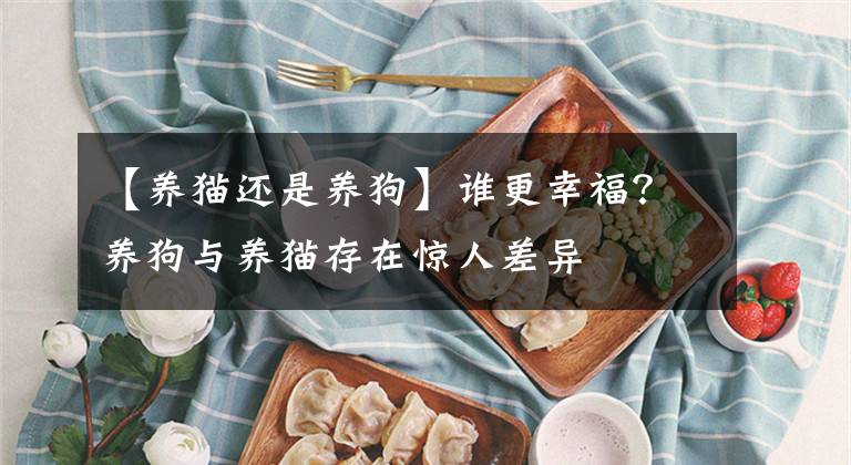 【养猫还是养狗】谁更幸福？养狗与养猫存在惊人差异