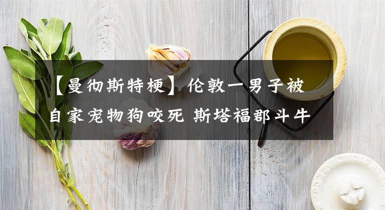 【曼彻斯特梗】伦敦一男子被自家宠物狗咬死 斯塔福郡斗牛梗真有这么凶吗？