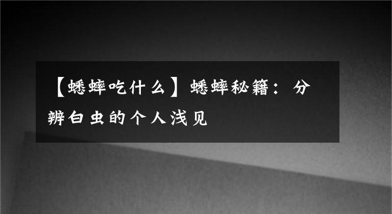 【蟋蟀吃什么】蟋蟀秘籍：分辨白虫的个人浅见