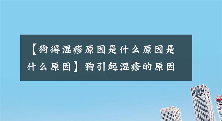 【狗得湿疹原因是什么原因是什么原因】狗引起湿疹的原因是湿疹是皮肤病的另一种表现