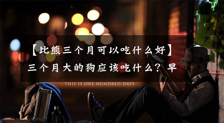 【比熊三个月可以吃什么好】三个月大的狗应该吃什么？早点吃狗粮吗？