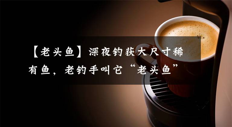 【老头鱼】深夜钓获大尺寸稀有鱼，老钓手叫它“老头鱼”