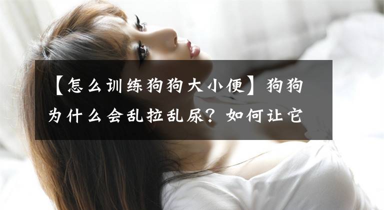 【怎么训练狗狗大小便】狗狗为什么会乱拉乱尿？如何让它学会定点大小便？6步训练就到位