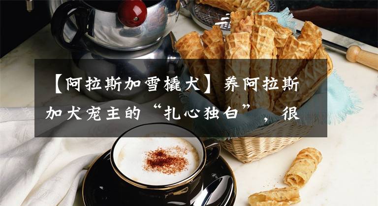 【阿拉斯加雪橇犬】养阿拉斯加犬宠主的“扎心独白”，很累，但无路可退