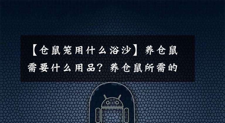 【仓鼠笼用什么浴沙】养仓鼠需要什么用品？养仓鼠所需的8种用品