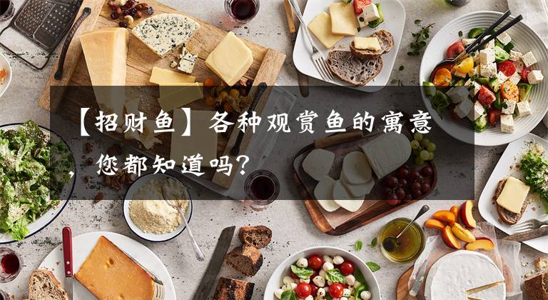 【招财鱼】各种观赏鱼的寓意，您都知道吗？