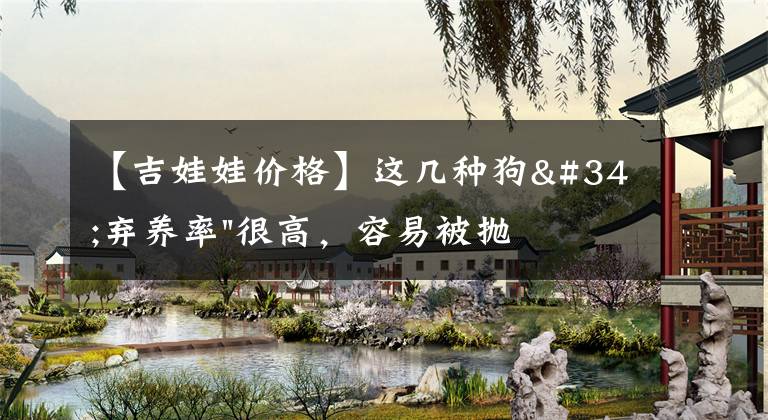 【吉娃娃价格】这几种狗"弃养率"很高，容易被抛弃，太让人心疼了