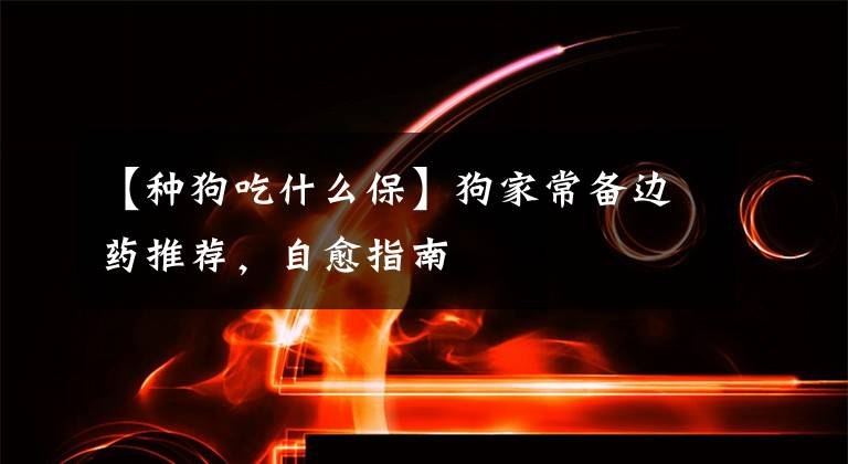 【种狗吃什么保】狗家常备边药推荐，自愈指南