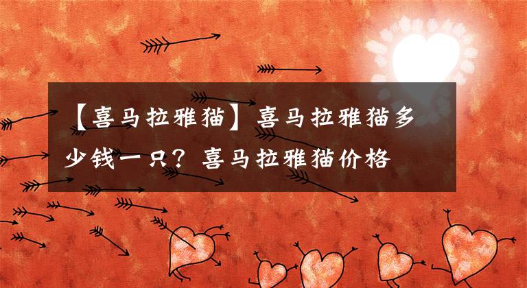 【喜马拉雅猫】喜马拉雅猫多少钱一只？喜马拉雅猫价格