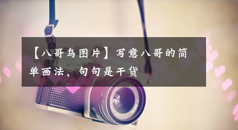 【八哥鸟图片】写意八哥的简单画法，句句是干货