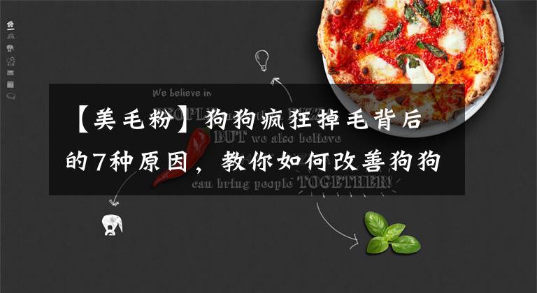 【美毛粉】狗狗疯狂掉毛背后的7种原因，教你如何改善狗狗掉毛