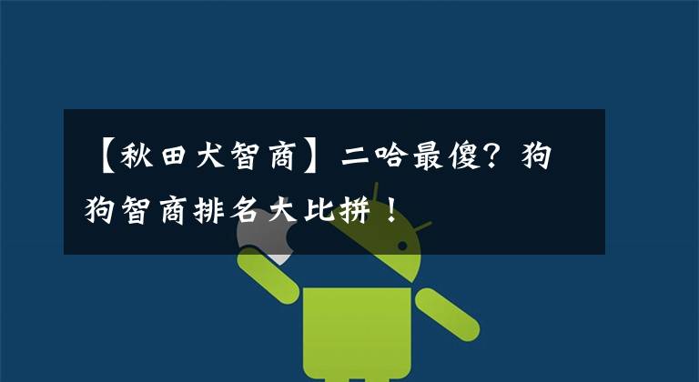 【秋田犬智商】二哈最傻？狗狗智商排名大比拼！