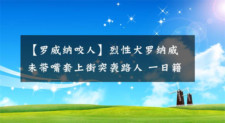 【罗威纳咬人】烈性犬罗纳威未带嘴套上街突袭路人 一日籍女子手臂被咬的血肉模糊