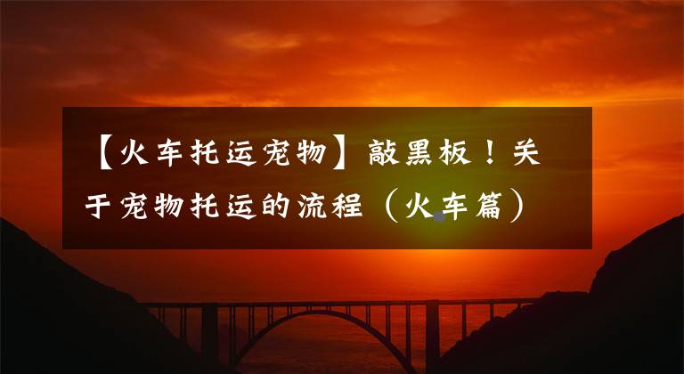 【火车托运宠物】敲黑板！关于宠物托运的流程（火车篇）