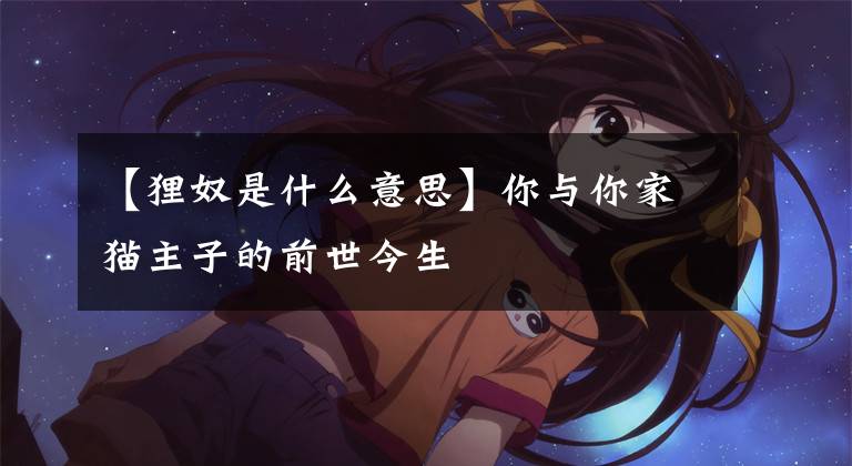 【狸奴是什么意思】你与你家猫主子的前世今生
