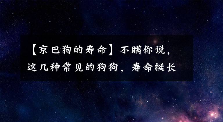 【京巴狗的寿命】不瞒你说，这几种常见的狗狗，寿命挺长