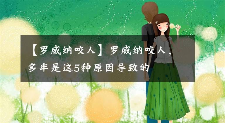 【罗威纳咬人】罗威纳咬人，多半是这5种原因导致的