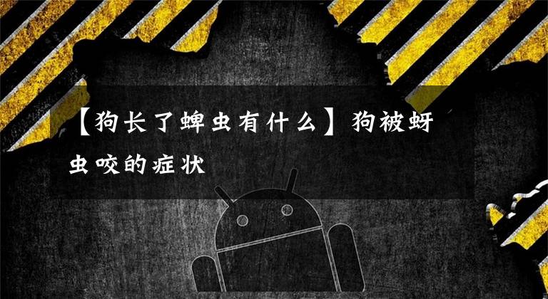 【狗长了蜱虫有什么】狗被蚜虫咬的症状