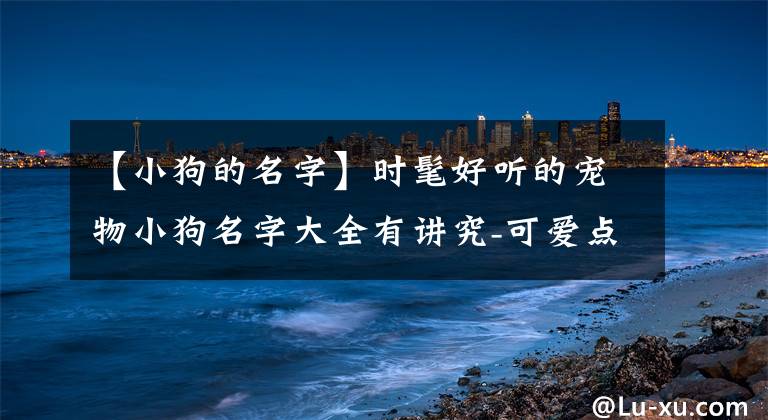 【小狗的名字】时髦好听的宠物小狗名字大全有讲究-可爱点