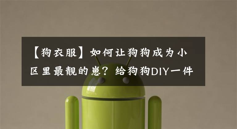 【狗衣服】如何让狗狗成为小区里最靓的崽？给狗狗DIY一件四脚衣服吧