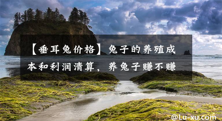 【垂耳兔价格】兔子的养殖成本和利润清算，养兔子赚不赚钱一目了然