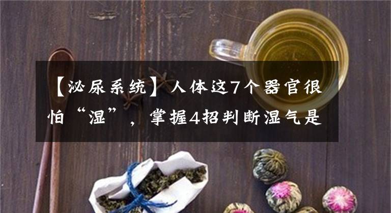 【泌尿系统】人体这7个器官很怕“湿”，掌握4招判断湿气是否超标，这份“祛湿指南”请收好