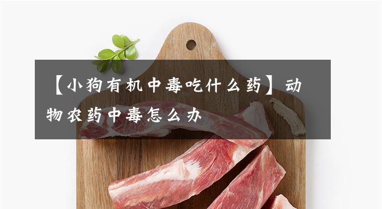 【小狗有机中毒吃什么药】动物农药中毒怎么办