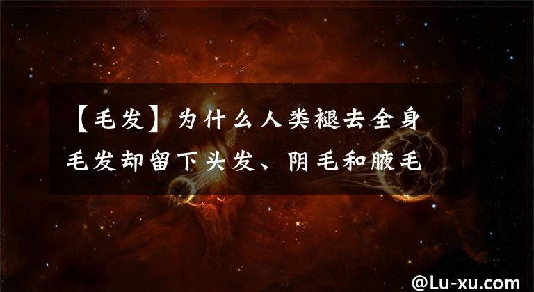 【毛发】为什么人类褪去全身毛发却留下头发、阴毛和腋毛？