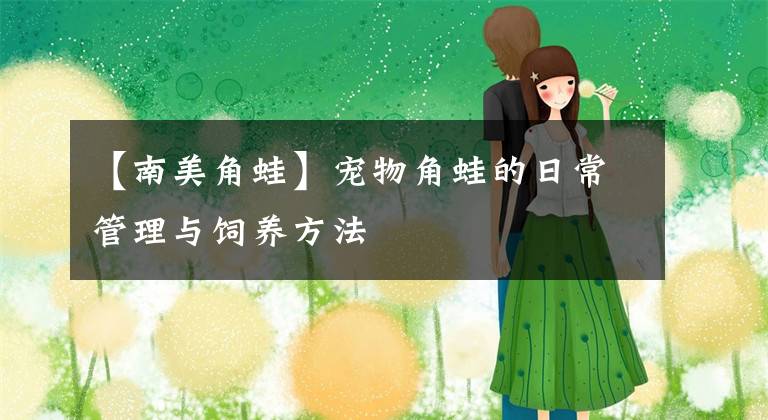 【南美角蛙】宠物角蛙的日常管理与饲养方法