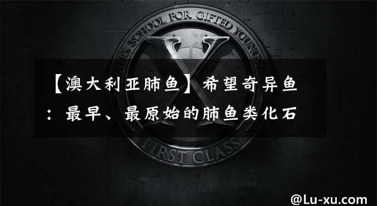 【澳大利亚肺鱼】希望奇异鱼：最早、最原始的肺鱼类化石