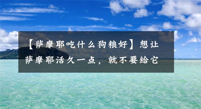 【萨摩耶吃什么狗粮好】想让萨摩耶活久一点，就不要给它吃这些东西