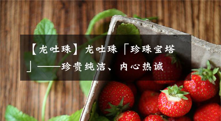 【龙吐珠】龙吐珠「珍珠宝塔」——珍贵纯洁、内心热诚