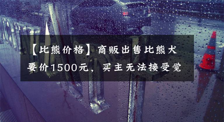 【比熊价格】商贩出售比熊犬要价1500元，买主无法接受觉得太贵了！